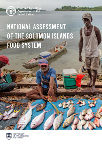 National assessment of the Solomon Islands food system