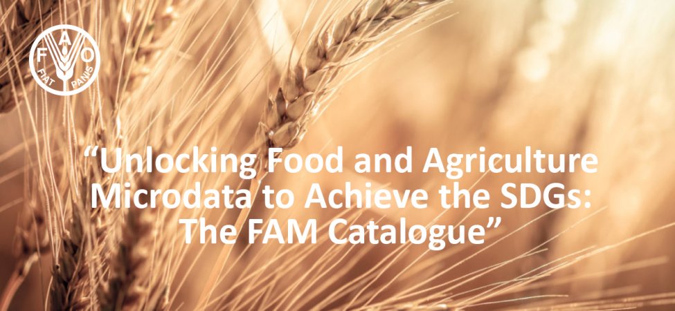 Unlocking Food and Agriculture Microdata to Achieve the SDGs: The FAM Catalogue