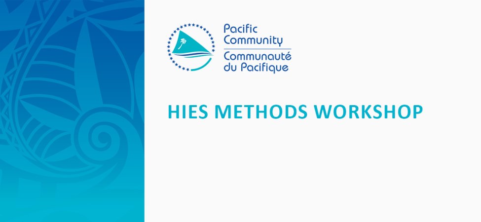 HIES Methods Workshop 2023