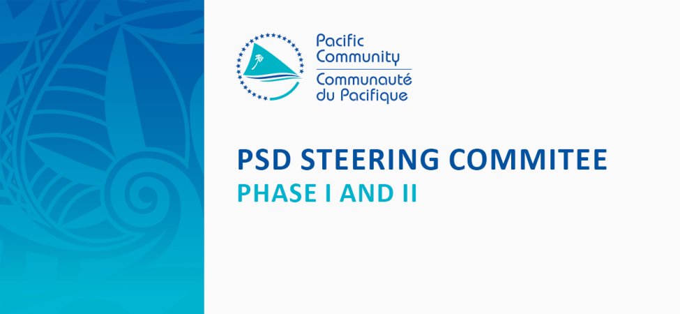 PSD Steering Commitee Phase I and II