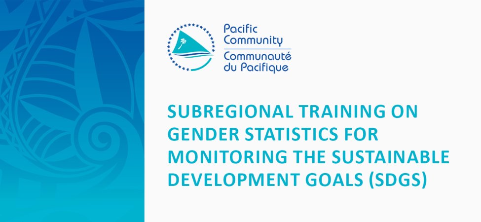 Subregional Training on Gender Statistics for Monitoring the Sustainable Development Goals (SDGs)